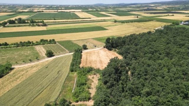 Plac, Prodaja, m2, Krušedol