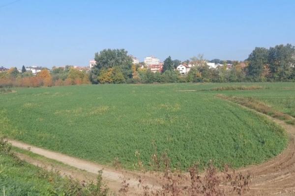 prodaja, plac,
ribnica-grad-kraljevo, 990462, ribnica