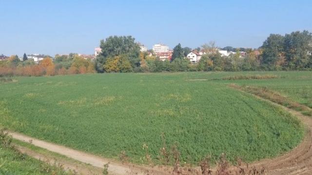 Plac, Prodaja, m2, Ribnica, Gradska lokacija, Ribnica