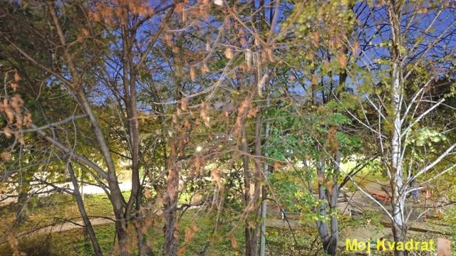 Stan, Dvosoban, Prodaja, 59m2, Batajnica, Zemun, Svetog Serafima Saravskog