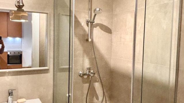 Stan, Dvosoban, Izdavanje, 60m2, Hala Pionir, Palilula, Dragoslava Srejovića