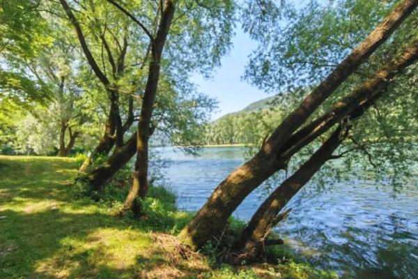 prodaja, plac,
gornja-tresnjica-opstina-ljubovija, 992552, gornja-tresnjica