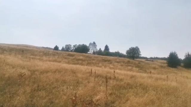 Plac, Prodaja, m2, Kriva Reka