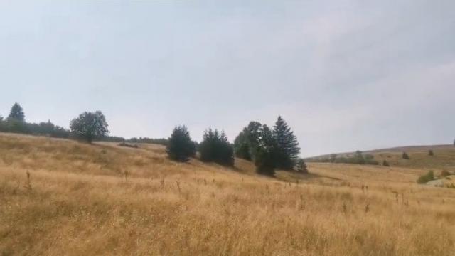 Plac, Prodaja, m2, Kriva Reka