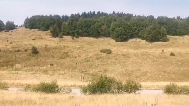 Plac, Prodaja, m2, Kriva Reka