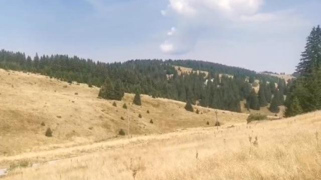 Plac, Prodaja, m2, Kriva Reka