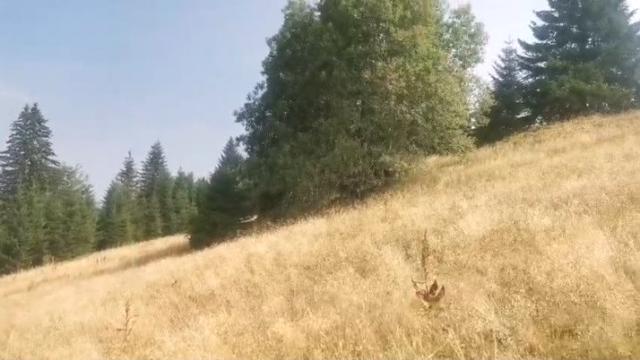 Plac, Prodaja, m2, Kriva Reka