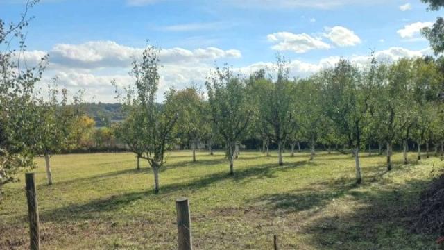 Plac, Prodaja, m2, Sopot, Sopot