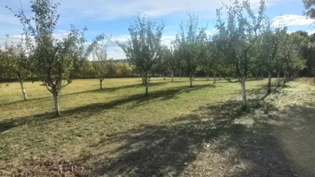 Plac, Prodaja, m2, Sopot, Sopot