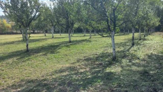 Plac, Prodaja, m2, Sopot, Sopot