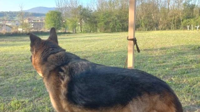 Plac, Prodaja, m2, Sopot, Sopot