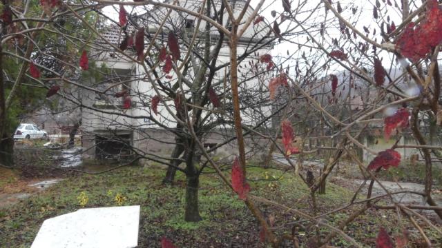 Kuća, Prodaja, 80m2, Majur, Okolno mesto, Jagodina