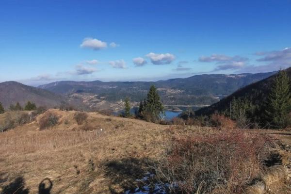 prodaja, plac,
tara, 994456, vasilici