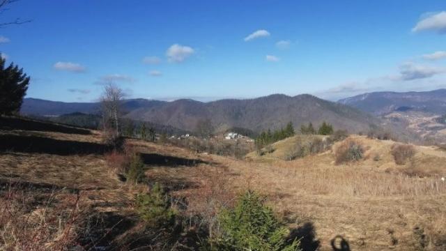 Plac, Prodaja, m2, Vasilici