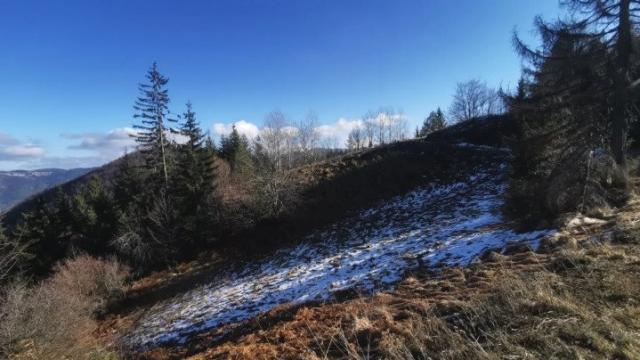 Plac, Prodaja, m2, Vasilici