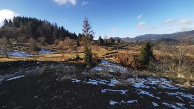 Plac, Prodaja, m2, Vasilici