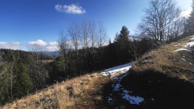 Plac, Prodaja, m2, Vasilici