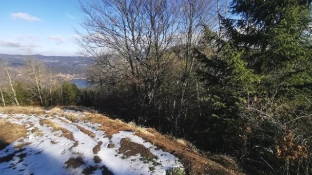 Plac, Prodaja, m2, Vasilici