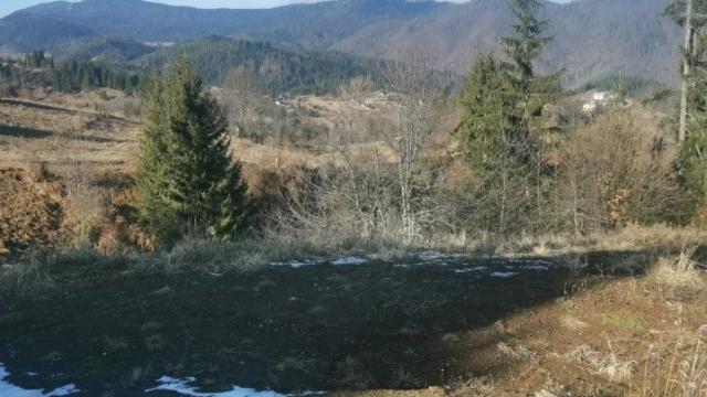 Plac, Prodaja, m2, Vasilici