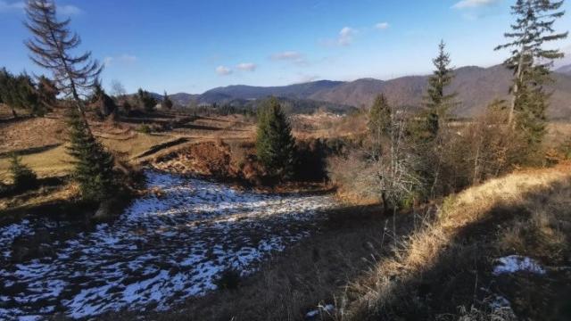 Plac, Prodaja, m2, Vasilici