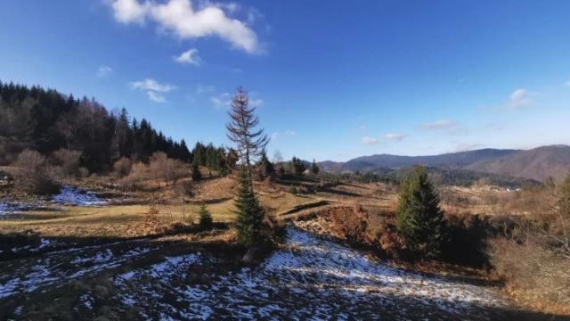 Plac, Prodaja, m2, Vasilici