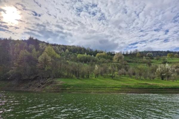 prodaja, plac,
vilovi-opstina-nova-varos, 994485, vilovi