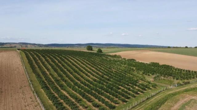 Plac, Prodaja, m2, Ležimir, Okolno mesto, Lezimir