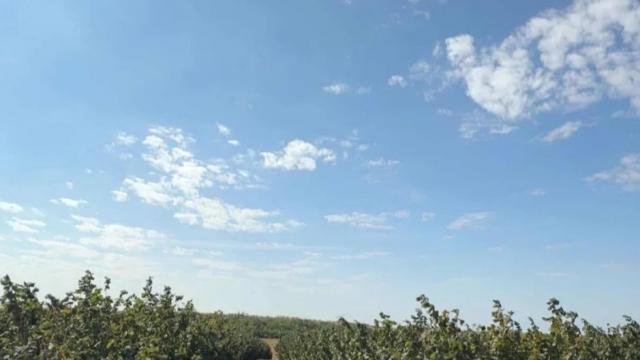 Plac, Prodaja, m2, Ležimir, Okolno mesto, Lezimir