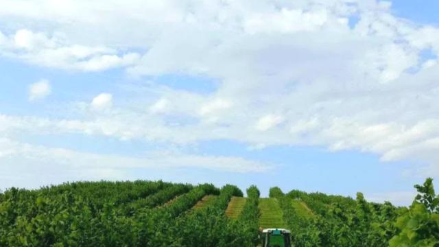 Plac, Prodaja, m2, Ležimir, Okolno mesto, Lezimir