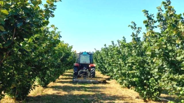 Plac, Prodaja, m2, Ležimir, Okolno mesto, Lezimir