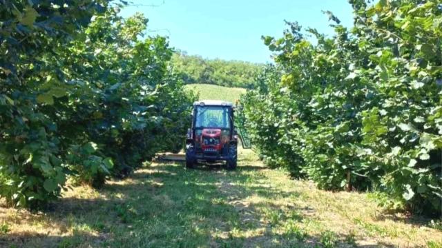 Plac, Prodaja, m2, Ležimir, Okolno mesto, Lezimir