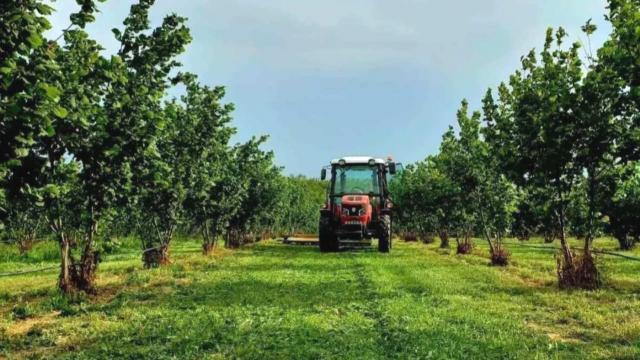 Plac, Prodaja, m2, Ležimir, Okolno mesto, Lezimir