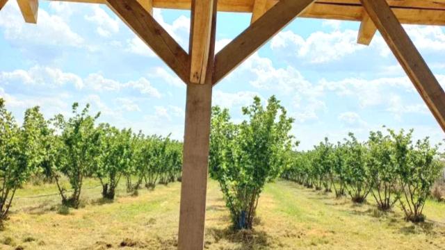 Plac, Prodaja, m2, Ležimir, Okolno mesto, Lezimir