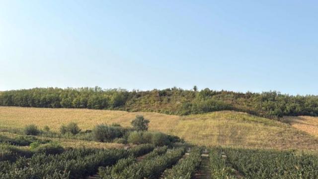 Plac, Prodaja, m2, Ležimir, Okolno mesto, Lezimir