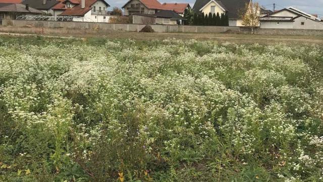 Plac, Prodaja, m2, Sabacki put