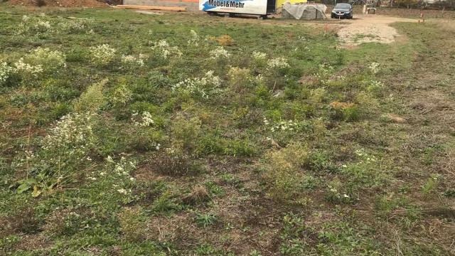 Plac, Prodaja, m2, Sabacki put