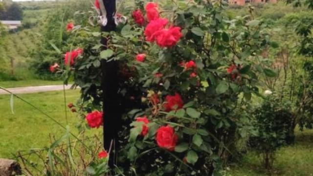 Kuća, Prodaja, 341m2, Grocka (mesto), Grocka, Bulevar revolucije