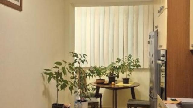 Stan, Dvosoban, Prodaja, 51m2, Karaburma, Palilula, Dr Nika Miljanića