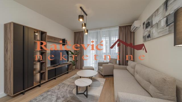 Stan, Dvosoban, Izdavanje, 55m2, Beograd na vodi, Savski venac, Luke Celovica Trebinjca