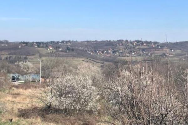 prodaja, plac,
ripanj-vozdovac-beograd, 381002, plac