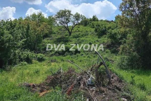 prodaja, plac,
cortanovci-opstina-indjija, 997331, plac