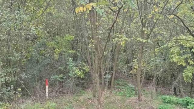 Plac, Prodaja, m2, Devojački Bunar, Okolno mesto, Beogradska