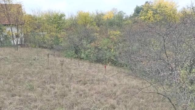 Plac, Prodaja, m2, Devojački Bunar, Okolno mesto, Beogradska