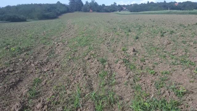 Plac, Prodaja, m2, Vlaška, Mladenovac, Smrdan