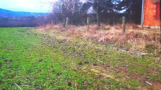 Plac, Prodaja, m2, Vlaška, Mladenovac, Smrdan