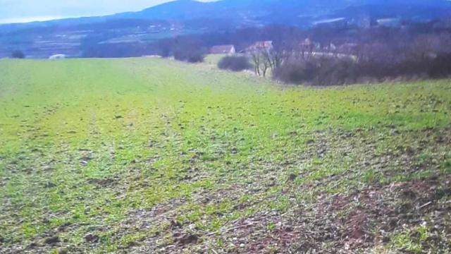 Plac, Prodaja, m2, Vlaška, Mladenovac, Smrdan