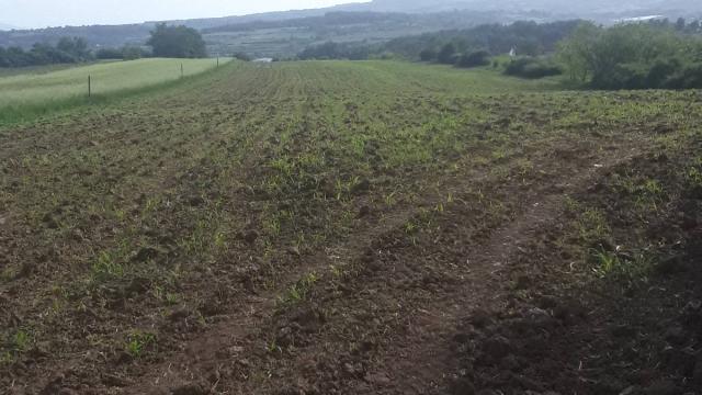 Plac, Prodaja, m2, Vlaška, Mladenovac, Smrdan