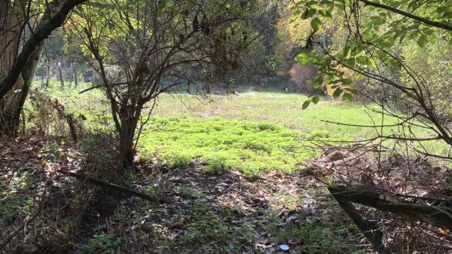 Kuća, Petosoban i veći, Prodaja, 110m2, Veliki Crljeni, Lazarevac, Veliki Crljeni