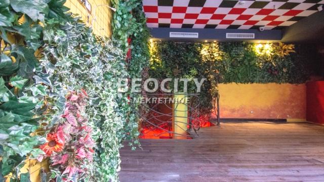 Poslovni prostor, četvorosoban, Izdavanje, 245m2, Bulevar kralja Aleksandra, Zvezdara, Jovana Ćirilova