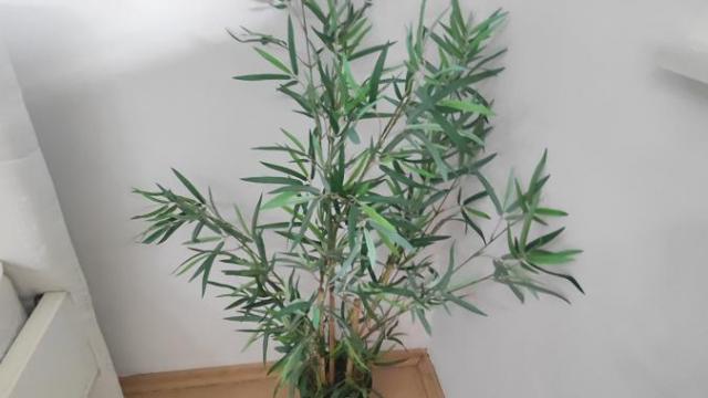 Stan, Jednoiposoban, Izdavanje, 38m2, Tabane, Gradska lokacija, Jagodina